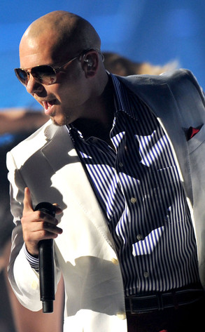 Pitbull Pitbull